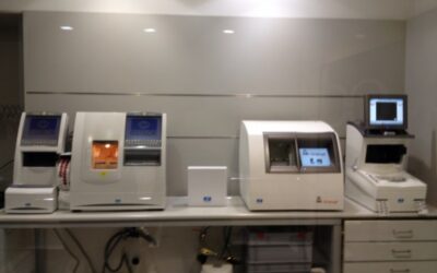 Laboratorio Interno